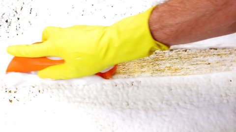 A house cleaner cleaning carpet with a foam cleaner, protective glove and handbrush to remove dirt and grime