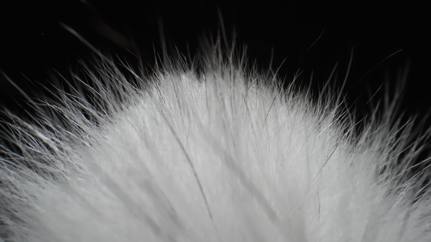 White Fur Natural. Animal Wildlife Hair Fur. The Camera Moves Through the Hairs of the Animal Fur. Extreme Closeup Texture of White Fluffy Fur | Shutterstock HD Video #1086851009