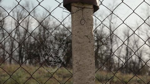 Morning in countryside, dew drops on spiderweb on wire mesh fence with concrete pillar closeup, rack focus to plants in background. Spider wove cobweb that sway in breeze. Rustic video background