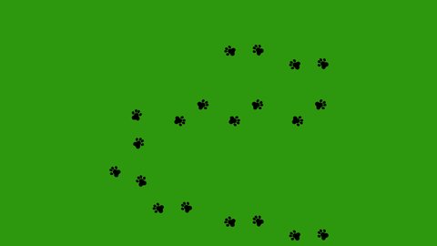 Loop animation of animal paw prints, on a green chroma key background