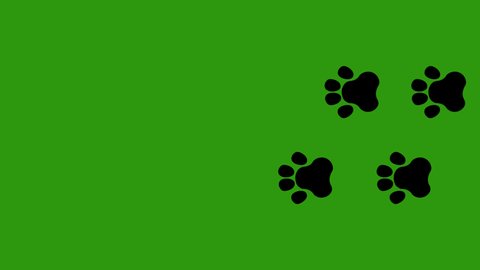 Loop animation of animal paw prints, on a green chroma key background