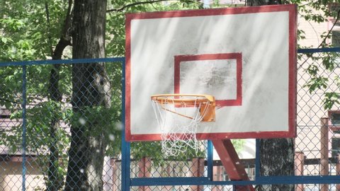 Basketball hoop on outdoor playground surrounded by flying white poplar fluff summer seasonal allergen. Cottonwood green tree at city park natural environment flora. Active sports outside equipment