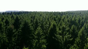 Somewhere not so far away. 4k video drone footage of a scenic view of trees.
