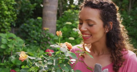 Portrait of happy biracial woman smelling roses in garden. horticulture, gardening and spending quality leisure time at home and garden.