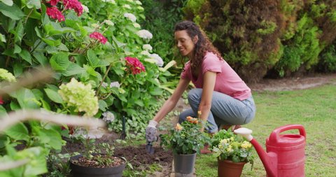 Happy biracial woman gardening, planting flowers. horticulture, gardening and spending quality leisure time at home and garden.