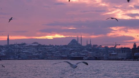 snowy winter landscape at sunset in istanbul historical peninsula Suleymaniye mosque, seagulls flying in slow motion.