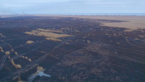 Aerial Shot. Black burnt floodplains of the Dniester wetlands, burnt reeds environmental problem, Ukraine