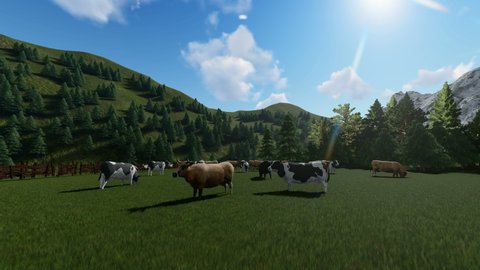 Pan of a farm animals on a mountain pasture beautiful sunny day