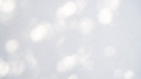 Abstract leaves gray shadow background with light bokeh, Abstract gray shadow background of natural leaves tree branch falling on white wall and wallpaper texture. Cloud dancer color of year 2026 - Powered by Shutterstock - Get 15% off with code: PIKWIZARD15