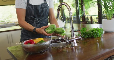 Midsection of caucasian pregnant woman wearing apron, washing vegetables in kitchen. expecting baby and healthy lifestyle during pregnancy.