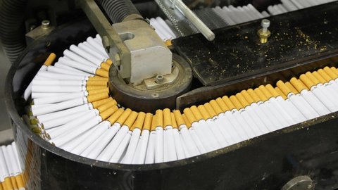 Cigarettes with a yellow filter move along the conveyor belt and there is a problem. This is a modern tobacco production.