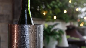 4k video of water droplets running down a chilled wine bottle and bucket. High quality water particles sliding down wine chiller for events and parties. - Powered by Shutterstock - Get 15% off with code: PIKWIZARD15