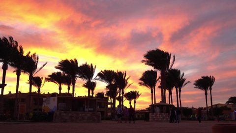 Stella Di Mare Beach Resort and SPA Makadi Bay hotel in Hurgada resort. Sunset on the main beach and palms fluttering in the wind, tourists stroll along beach: Egypt, Hurgada - 2 December, 2021