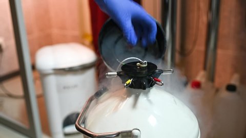 Dewar vessel with liquid nitrogen with frozen embryos and eggs in a cryobank in a modern IVF clinic. Reproductive medicine, in vitro fertilization