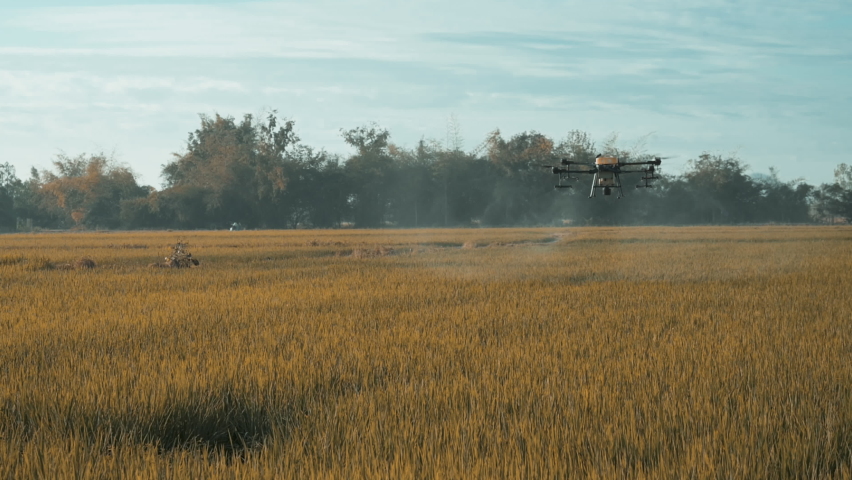 Agriculture drone flying and spraying fertilizer and pesticide over farmland,High technology innovations and smart farming	
