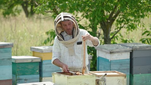 Male apiarist took a frame full of ripe honey out of hive. Man twists the frame in his hands and takes it to another box.