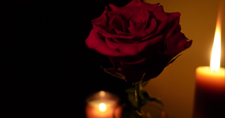 the light from the candles illuminates the red rose