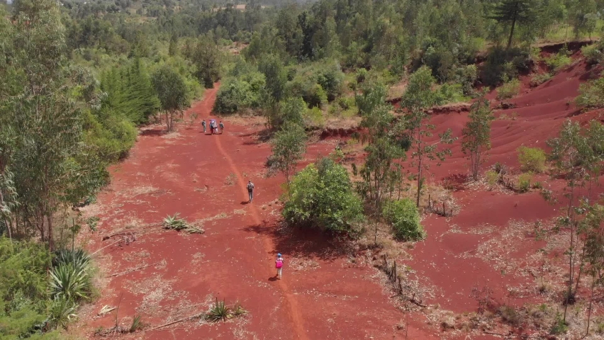 A beautiful drone view of a forest with trees on a sunny day in Africa Ethiopia