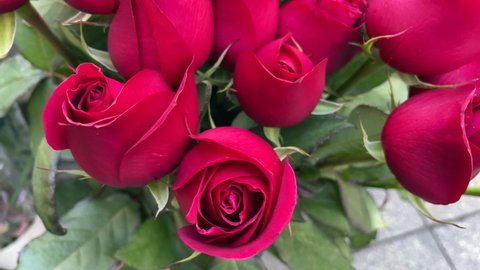 Red roses Beautiful composition arranged in a bouquet Macro Detail shot valentine's day specially crafted roses gift roses red roses abstract pastel background images 4K video footage buying now.