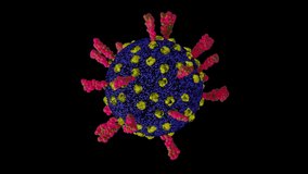 Loopable with Alpha Matte: Single rotating coronavirus virion particle isolated on black background. Stylyzed SARS-CoV-2 (COVID-19) coronavirus 3D animation.