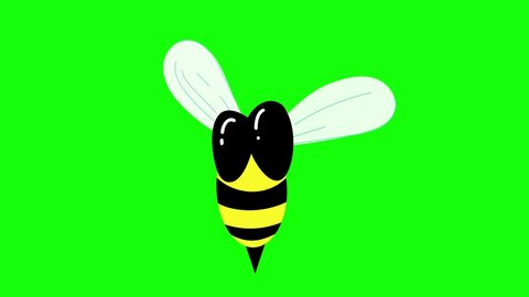 371 Bee green screen Stock Video Footage - 4K and HD Video Clips ...