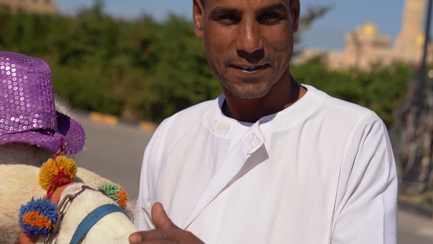 Close-up of Arab man smiling and stroking the muzzle of a white camel in a tourist area. Egypt. Middle East