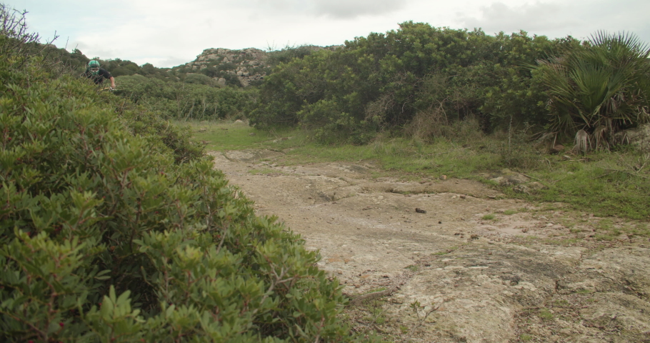 Tracking shot of fast mountain biker followed by shepard dog, slow motion, day