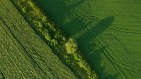 Gorgeous aerial footage of agricultural land and cultivate fields from a bird's eye view. Location place agrarian region Ukraine, Europe. Cinematic drone shot. Filmed in UHD 4k video. Beauty earth.