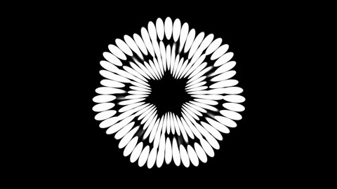 Black White Flower Optical Illusion Concentric Moving geometric shapes Abstract Art Seamless loop 4K Motion Background Animation 