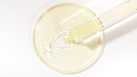 Transparent Yellow Fluid Oil from a Test Tube is Poured into Petri Dishes. Chemical Laboratory Research. Natural Organic Cosmetics, Medicine. Production of Natural Cosmetics Close-up.