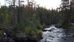 Drone footage of pristine and wild Finnish nature at sunset at Hepokongas waterfall in Kainuu region, Finland. Meandering lazy river to a massive waterfall. Discovering suomi nature. 4k video