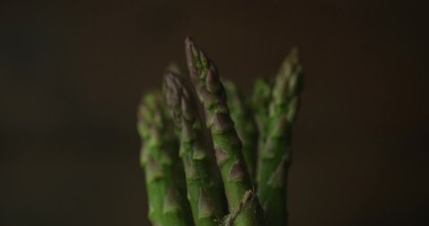 tips of fresh asparagus in the spotlight with water drops falling over them