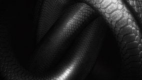 This stock motion graphic video include  clip of
Black Snake Knot Loop
