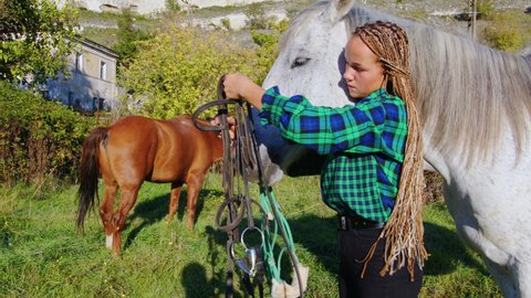 Sportive female rider harnesses white horse carefully in countryside. Beautiful young horsewoman fixed rein, bridle, bit on stallion head. Horseback riding preparation at farm in summer