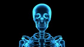 Animation of rotating human skeleton. Blue holographic look. Repeatable 3D rendered video.