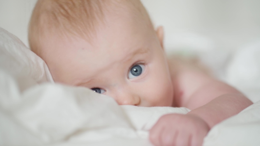 Cute baby lying on bed. Adorable infant with gray eyes sucking blanket and yawning while resting on soft bed at home | Shutterstock HD Video #1086990500