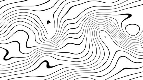 Abstract animation of wavy moving shiny black lines with rotation on white background. High quality FullHD footage