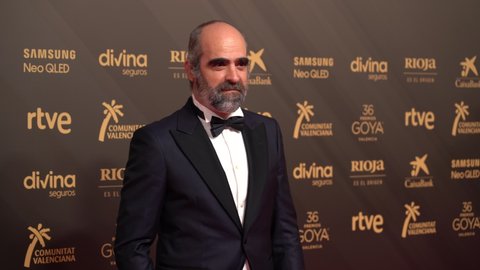 the actor Luis Tosar on the red carpet of the 36th Goya Awards. Valencia, Spain, February 12, 2022.