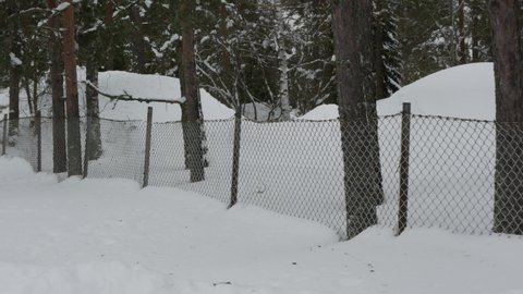 Old rusty fence with barbed wire in snow forest.