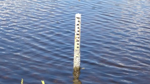 Old water level pole in body of water encrusted with barnacles 