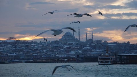 snowy winter landscape at sunset in istanbul historical peninsula Suleymaniye mosque, seagulls flying in slow motion. turkey istanbul fatih January 25 2022