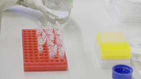 Scientist conducting experiment uses pipette to fill test tubes with liquid in pharmaceutical lab