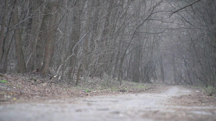 Silhouette of a cyclist on a gravel bike riding a trail in the forest