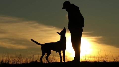 Silhouettes of a dog and a man on a sunset background, a dog barking at its owner, training a Belgian shepherd malinois