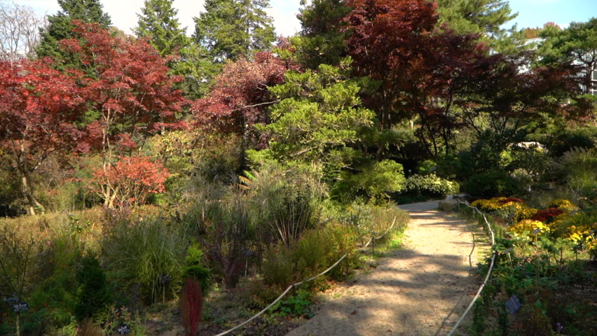Yongin, South Korea - Oct 2020 : Hantaek Botanical Garden
