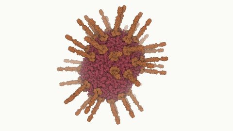 Rotating structure of a head of a bacteriophage. Bacteriophages are a special group of viruses that infect bacteria. 3D rendering based on scientifically accurate model of phi29 bacteriophage.