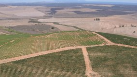Aerial Groenekloof Darling Vineyards Cape Winelands 