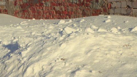 Close-up shovel in a snowdrift, starts to throw snow. Clear, sunny, cool winter day, everything is white. There are snowdrifts all around. Climate change, city, there was a snowstorm. UHD 4K