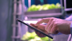 Hand farmer man engineer biologist scientist bio using tablet. Innovative agricultural technologies smart organic vertical farm lettuce future. GMO artificial intelligence vegetable greenhouse concept