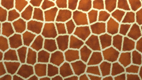 Giraffe patterned hide. Animal fur skin fabric torn to shreds, holes revealing the black background. Cloth simulation, 3D animated intro. Alpha channel as matte mask included.